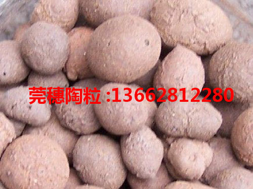 莞穗陶粒10～30mm